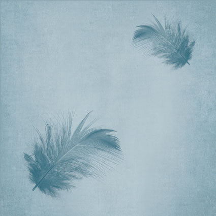 Coaster Feather (set of 6 units)