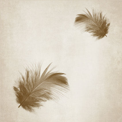 Coaster Feather (set of 6 units)