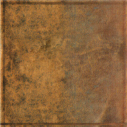 Coaster Leather (set of 6 units)