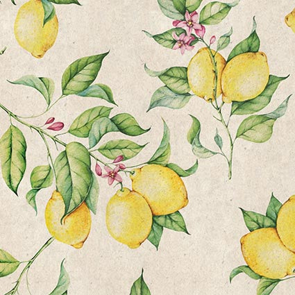Coaster Limones (set of 6 units)