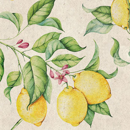 Placemat Limones (set of 6)