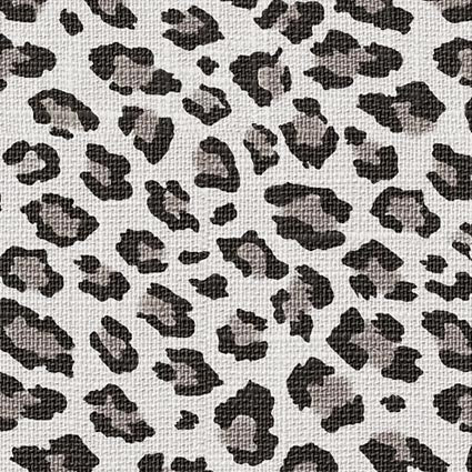 Coaster Tanzania (set of 6 units)