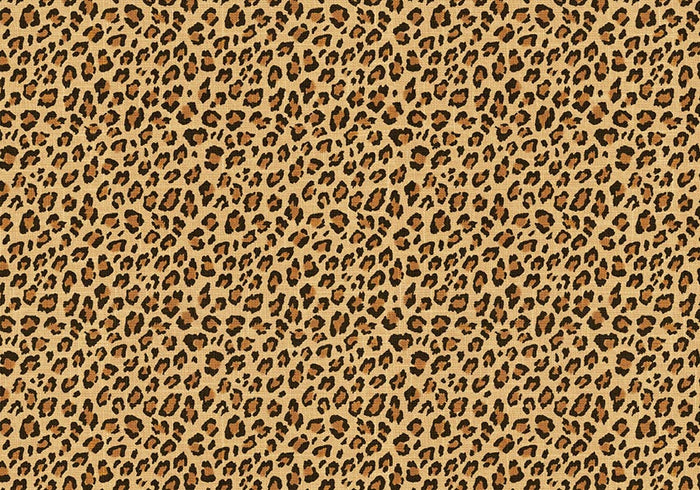 Placemat Tanzania (set of 6)