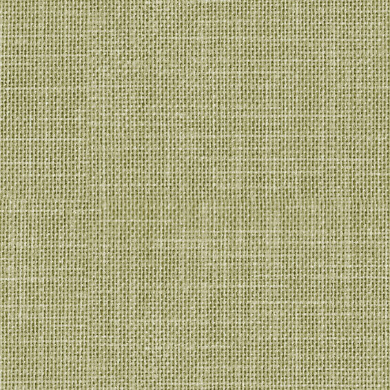 Rug Telar
