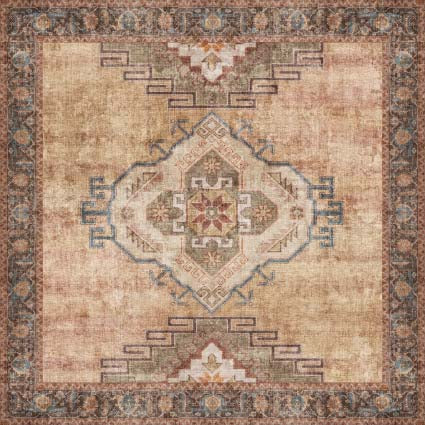 Rug Camina